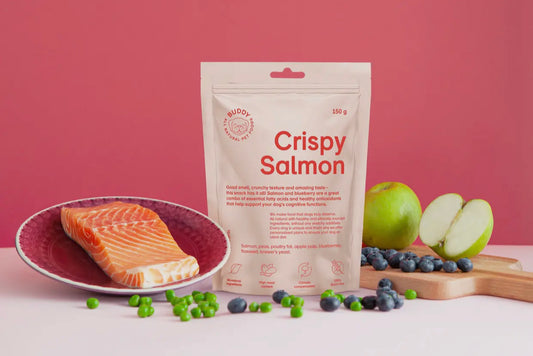 Knapperige zalm met bosbessen